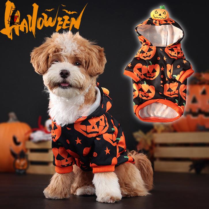 Halloween Pumpkin Hoodie